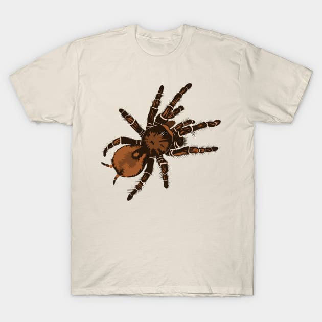 Goliath Bird Eating Spider T-Shirt by stargatedalek